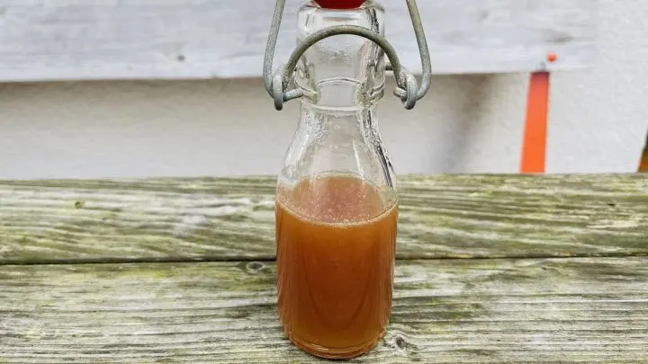 Hausgemachter Dattelsirup in der Flasche – so einfach bereitest du aus Datteln einen süßen Sirup selbst zu.