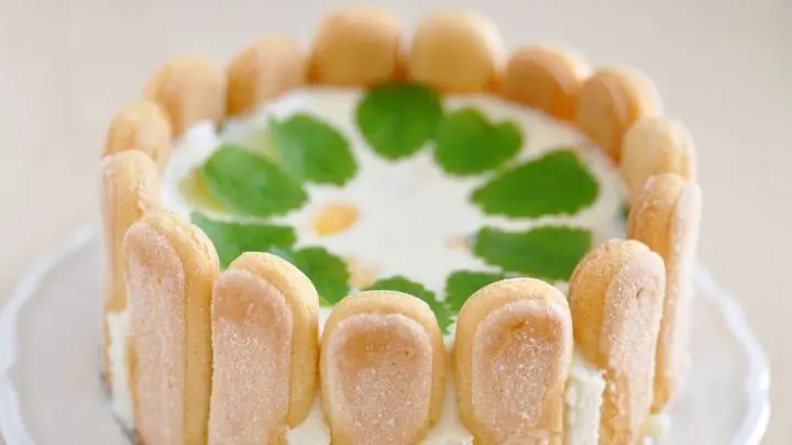 Dieser leckere, erfrischende Kuchen kommt ganz ohne Backen aus. Die Zubereitung ist denkbar einfach. Lies das Rezept und probiere den Kuchen aus.