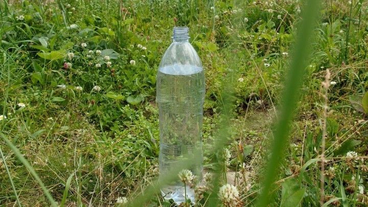 Katzen Mit Wasserflaschen Fernhalten Frag Mutti