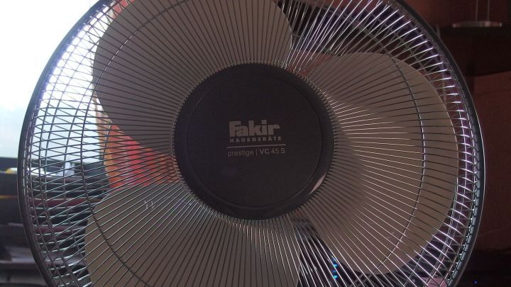 Wollmäuse entfernen für Faule - mit einem Ventilator.