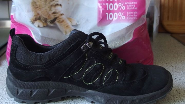 Muffelnde Turnschuhe über Nacht mit Katzenstreu füllen und am nächsten Tag mit dem Staubsauger aussaugen.