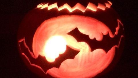 Schimmel im Halloween-Kürbis vermeiden