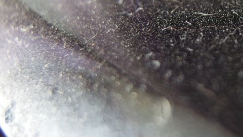 Etwas Weichspüler im Staubwischwasser wirkt antistatisch und verhindert so, dass sich der Staub allzu schnell wieder ablegt.