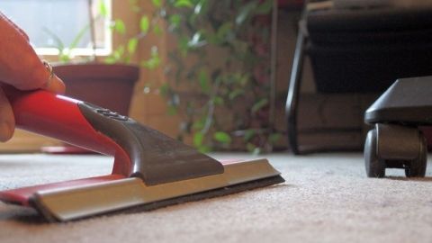 Entfernen von Hundehaaren auf dem Teppich mit Fensterabzieher.
