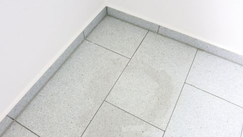 Glatte Oberflächen mit Shampoo putzen: Alles wird blitzeblank und glänzt, außerdem imprägniert es die Oberfläche etwas, so dass es nicht so schnell wieder schmutzig wird.