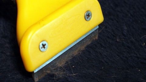Sofadecken, Kuscheldecken, Katzendecken, Kleidung vor dem Waschen in den Wäschetrockner geben