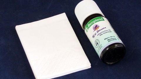 Verstopfte Nase bei Erkältung? Teebaumöl hilft!