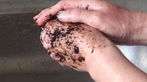 Hände mit Kaffeesatz einreiben und einige Zeit einmassieren. Anschließend mit lauwarmen Wasser abspülen. Gibt super weiche Hände!
