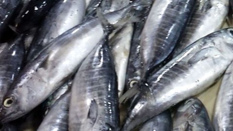 Verhindern von starkem Fischgeruch beim Braten von Fisch.