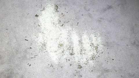 Verschüttetes Öl mithilfe von Katzenstreu leichter aufputzen.