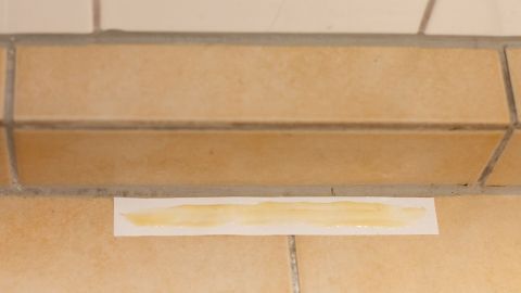 Silberfische sind sehr unerwünscht: Es gibt einen einfachen Tipp, wie man sie wieder loswerden kann.
