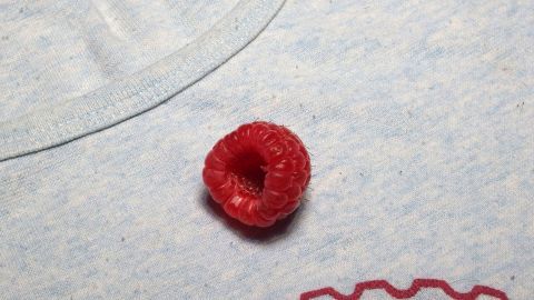 Rote Flecken von Himbeeren oder Kirschen bekommt man am besten mit Essigreiniger raus.