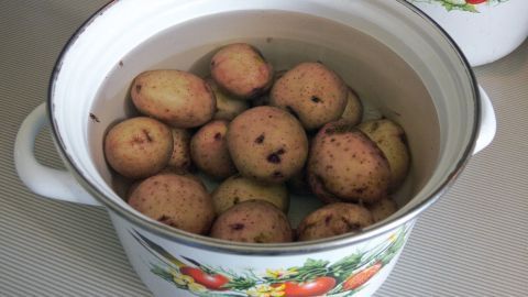 Kartoffelwasser ist ein hervorragender Blumendünger