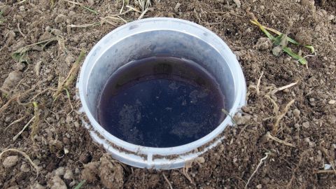 Wenn die Schnecken im Garten nerven, buddelt einfach einen Becher, der mit Bier gefüllt ist, in die Erde. Die Schnecken werden vom Biergeruch angezogen.