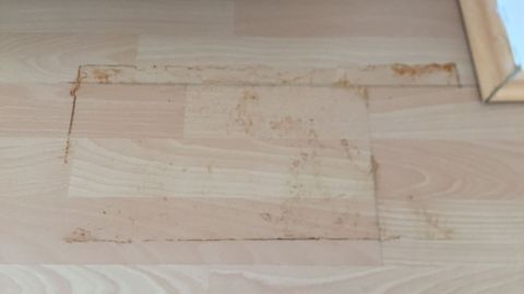 Ganz einfach lassen sich Rostflecken auf dem Laminatboden mit Grill- und Backofenreiniger entfernen.