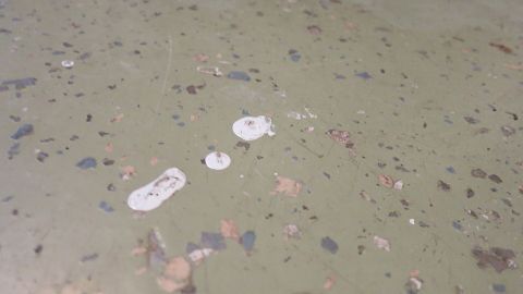 Geruchloses und chemiefreies Entfernen von Farbresten auf Böden und Türen mit einer Lösung aus Soda und Wasser.