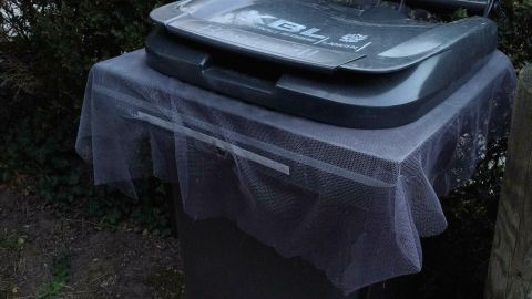 Fliegen und Maden in Mülltonnen sind unangenehm und eklig. Mithilfe eines Fliegenvorhangs kann man das Problem vermeiden.