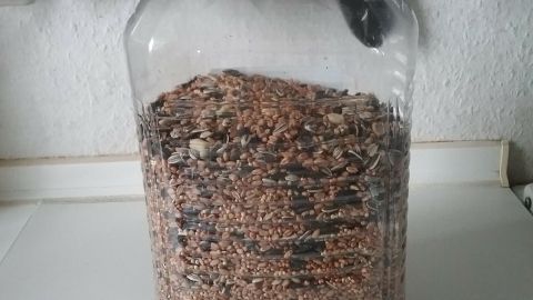 Diese große 5-Liter-Plastikflasche dient zukünftig zur Aufbewahrung von Vogelfutter und schont somit die Umwelt.