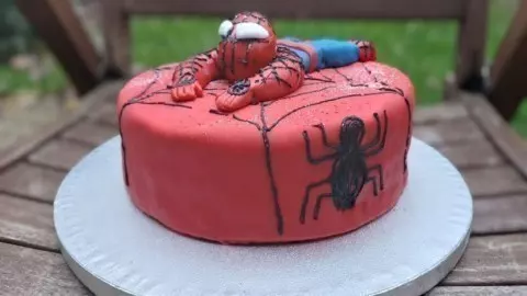 Ich habe diesen Kuchen mit Fondant eingedeckt und mit einem Spinnennest & zwei Spinnen darauf gemalt.
