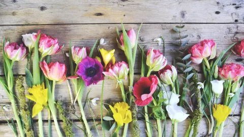 Für die Blumen im Strauß eignen sich nicht nur Tulpen sehr gut, sondern auch Forsythien, Ranunkeln, Narzissen, Hyazinthen und andere Frühblüher. 