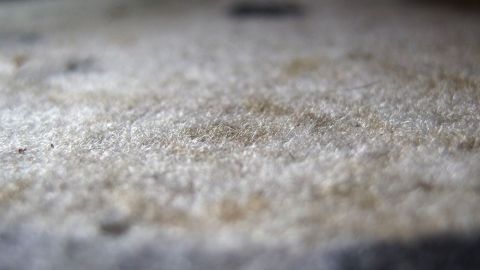 Schmutz-, Tee- und andere Flecken auf dem Teppich verschwinden in den meisten Fällen mit diesem Tipp.