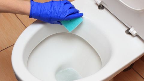 Toilettenbecken reinigen