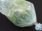 Blattsalat länger frisch halten