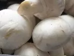 Frische Pilze säubern