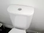 Reinigung des Toilettenspülkastens mit Gebissreiniger