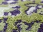 Tierhaare aus Teppichen mit dem Dampfreiniger entfernen