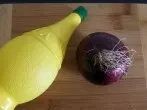 Zwiebel schneiden ohne stinkende Hände mit Zitronensaft