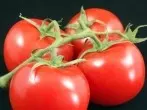 Frische Tomaten schälen