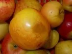 Hässliche Äpfel lecker verpackt