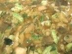 Gemüsesuppe für arme Studenten
