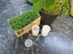 Kräuter einfrieren in kleinen Plastikdosen