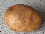Schwarze Flecken auf den Kartoffeln