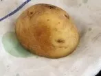 Grasflecken - weg mit Kartoffeln