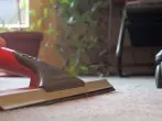 Hundehaare im Teppich mit Fensterabzieher entfernen