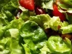Salat und Gemüse haltbar waschen
