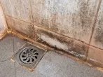 Brennspiritus gegen Schimmel in der Wohnung