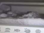 Kühlschrank gewaltfrei abtauen