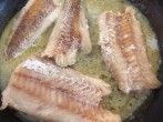 Wie bekomme ich Fischgeruch aus der Wohnung?