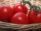 Tomaten aufbewahren