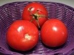 Qualitativ gute und g&uuml;nstige <strong>Tomaten</strong>