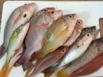 Fischgeruch verhindern