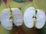 Angeschnittenes Obst wird an der Luft nicht braun