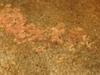 Farbige Wachsflecken aus Stoff oder Teppich <strong>entfernen</strong>