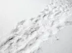 Schnee-Trampelpfad geschickt ohne Schaufel erstellen