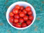 Tomaten aus Kernen ziehen