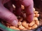 Eklige Erdnüsse in der Bar